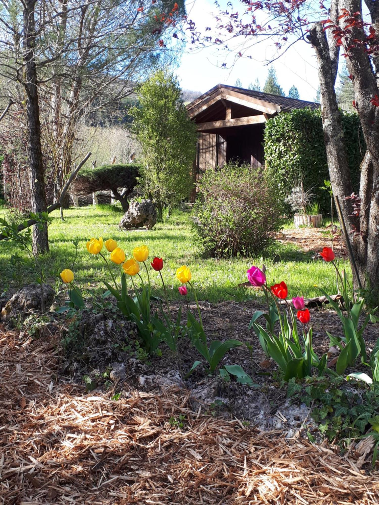 Les Chalets Du Roc Alzon Exterior photo
